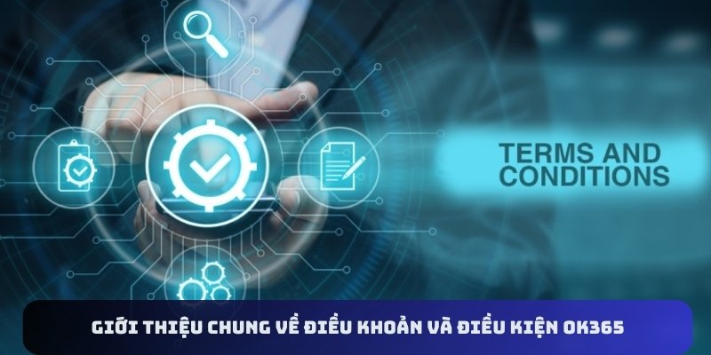 Giới thiệu chung về điều khoản và điều kiện OK365