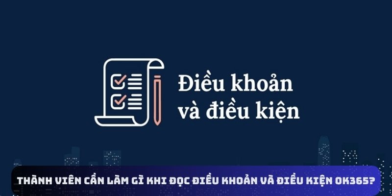 Thành viên cần làm gì khi đọc điều khoản và điều kiện OK365?