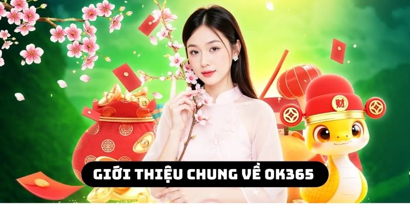 Giới thiệu chung về OK365